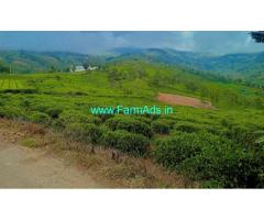 75 Cents Farm Land for Sale near Ooty