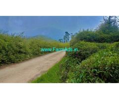 75 Cents Farm Land for Sale near Ooty
