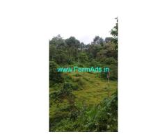 10 acre Farm land with house for sale near Anakulam
