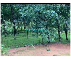 30 acres agriculture land sale near Karkala