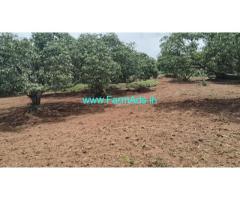 1 Acre 30 gunte Mango land for sale near Kanakapura