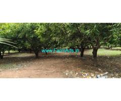 22 acres mango farmland for sale at Bhagavanpalli