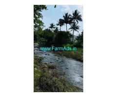 1.30 acres riverside coconut plantation for sale in Attappadi
