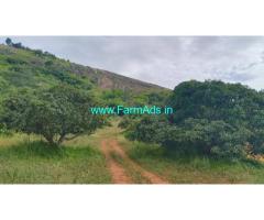 1 Acre 35 Kunta Mango Farm land for sale near Kanakapura