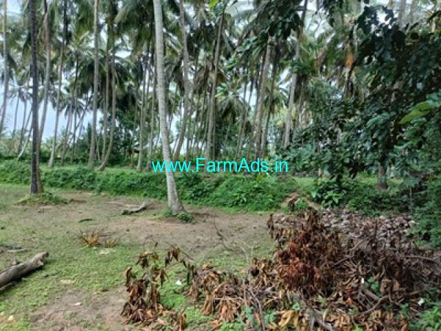 2 acre 17 gunta farm Land for Sale near Malavalli 2 acre 17 gunta farm Land for Sale near Malavalli
