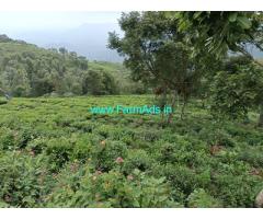 50 Cents Farm Land for sale at Adubettu