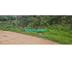 20 guntas Farm land sale in Mudigere