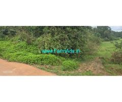 20 guntas Farm land sale in Mudigere