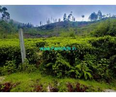 10 Cents extent plot for sale in Ooty rural