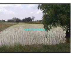 Urgent sale 40 Acres Agricultural land near Mothkur municipality