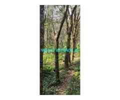 17 acres Agriculture land sale near Karkala