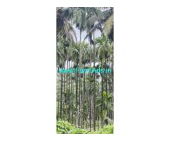 17 acres Agriculture land sale near Karkala 17 acres Agriculture land sale near Karkala