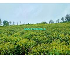 1.07 acre flat surface tea estate for sale in Ooty