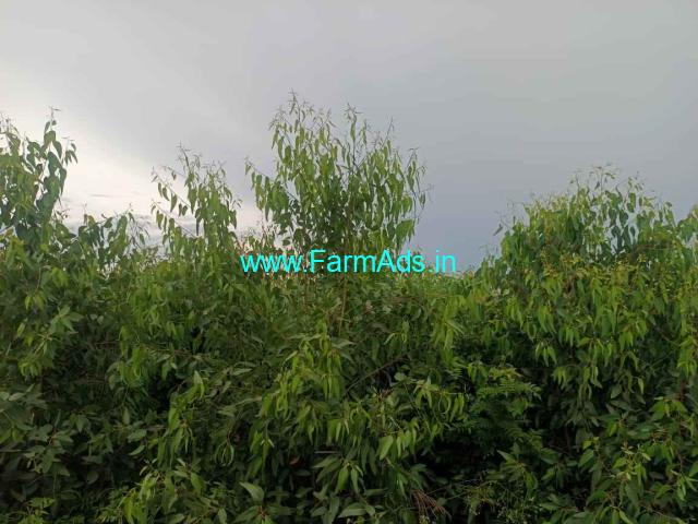 5.20 acres agriculture land sale near Hulikunte 5.20 acres agriculture land sale near Hulikunte