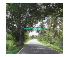 23 gunta Agriculture land for sale near Srirangapatna