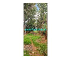 7.22 Acres TAR road attached Coconut farm sale near Nanjangud
