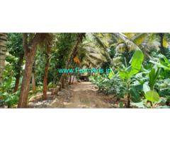 7.22 Acres TAR road attached Coconut farm sale near Nanjangud