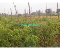 22 Acre Farm land sale in Kalakada mandal on urgent basis