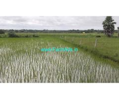 9 acres agriculture land for sale near Gundala Mandal