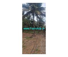 Kudimangalam Area 6.75 Acre coconut farm sale