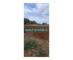 Kudimangalam Area 6.75 Acre coconut farm sale
