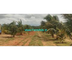 36 Acres Coconut farm Land for sale at Gundlupet
