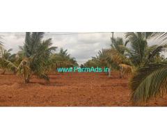 32 Acres Coconut Farm for Sale near Gundlupet
