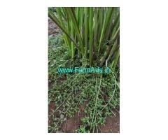 2.17 Acre farm land with Farm house for Sale at Jellipara, Attapadi