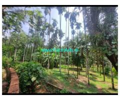 10 acres agri land sale near Belthangady