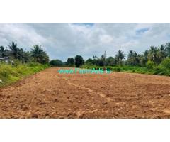 2 acres farm land for Sale near to Hassan and Belur city