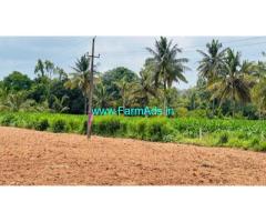 2 acres farm land for Sale near to Hassan and Belur city