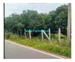 50 Gunta Mango Farmland Sale In Ramanagara, 16 Km From Magadi