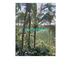 Wayanad, Abalavayal, Narikuddu 2 acres of land for sale