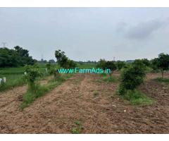 1.5 Acre agriculture land for sale at Village Ellyigudem
