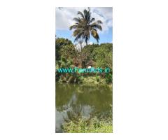 Land for sale 7.5 acres in Palakkad Chittoor bus route