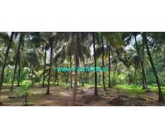 3 acre coconut Farm land for Sale near Vannamadai