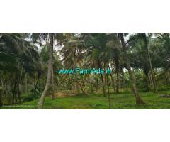 3 acre coconut Farm land for Sale near Vannamadai