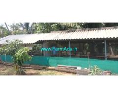 2.50 Acre coconut farm Sale in Menakshiporam
