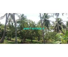2.50 Acre coconut farm Sale in Menakshiporam