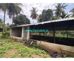 3 acres 30 Gunta plantation land for sale at Naguvinahalli
