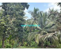 3 acres 30 Gunta plantation land for sale at Naguvinahalli