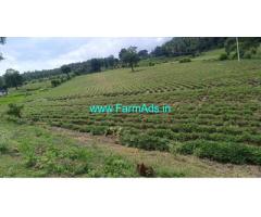 4 acre 40 cents Farm land for sale at Kushalnagar