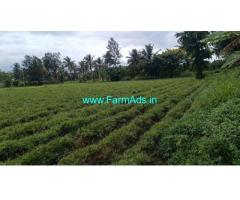 4 acre 40 cents Farm land for sale at Kushalnagar