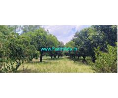 13 acre Agri Land sale near Srinivaspura