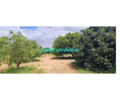 13 acre Agri Land sale near Srinivaspura