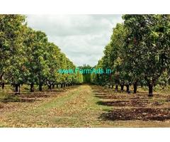 110 Acre Mango Plantation sale near Chemparamparathy,Muthalamada Road