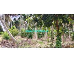 16.20 acre Coconut farm for sale near Gundlupet
