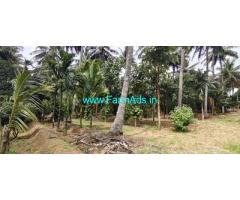 16.20 acre Coconut farm for sale near Gundlupet