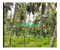 16 Gunta Farmland Sale In Bidadi