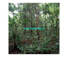 Low budget 1500 Acres Land sale in Chiplun